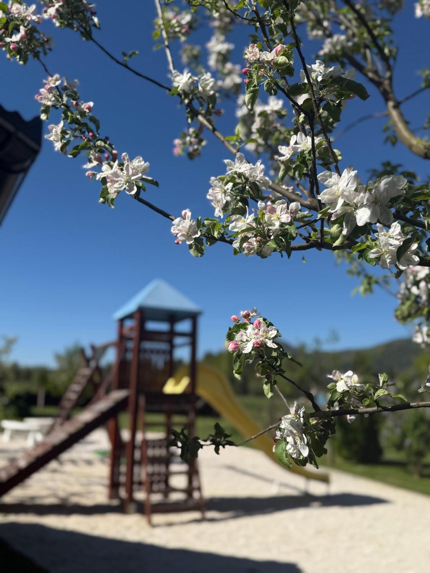 Plitvice Pension Perisic โคเรนนิซา ภายนอก รูปภาพ